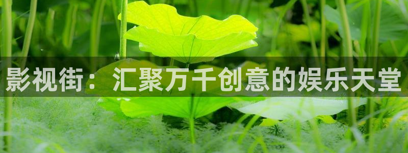 桃花影院国产木瓜影院免费