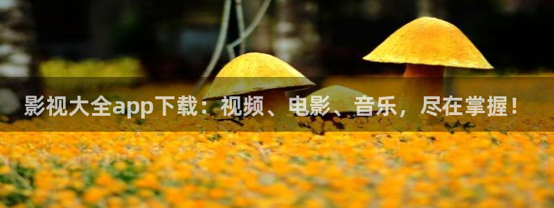 桃花影院高清在线播放